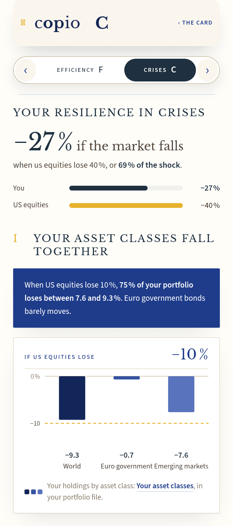 Illustrative equity-shock simulation on the copio portfolio checker Crises page